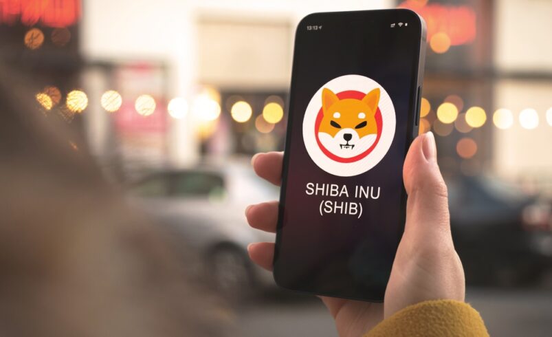 Invest in Shiba Blaster Inu Coins to Get Smarter Returns